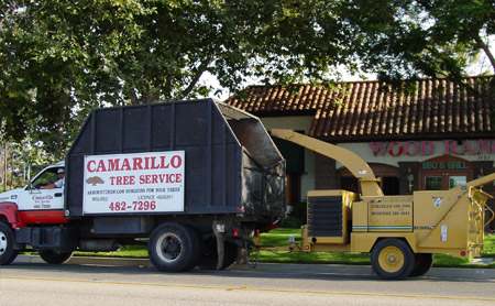 Camarillo Tree Service Truck