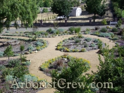 Drought-friendly landscaping in Camarillo
