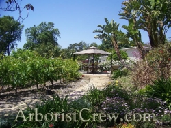 A winding path makes its way to a beautifully landscaped gazebo in Camarillo, CA.