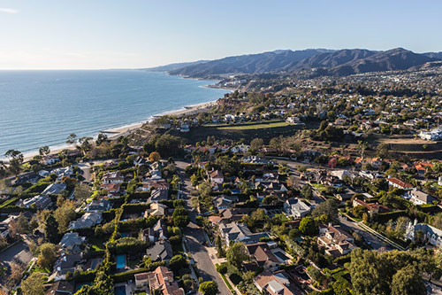 Tree Service in Pacific Palisades, California