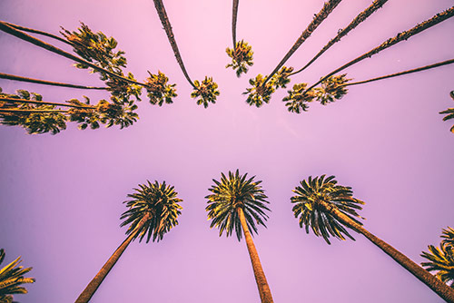 beverly-hills