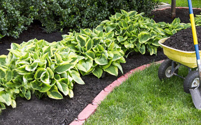 Mulching Helps Your Garden Grow!