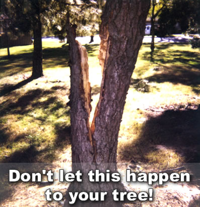 healthcare_split_tree