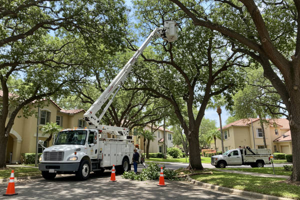 tree_trimming_service_truck