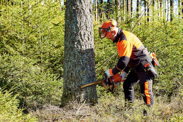 professional-lumberjack-with-protective-workwear-chainsaw-working-forest
