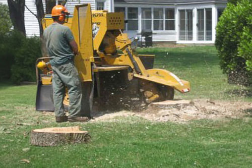tree_stump_grinding_machine